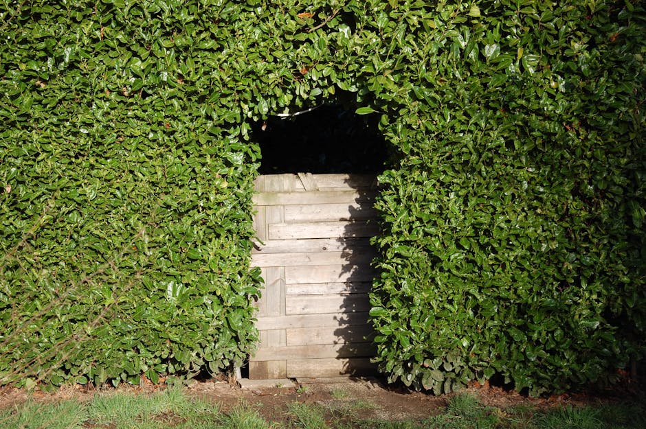A small wooden door made of light-colored planks is set into a hedge of dense, green foliage. The hedge surrounds the door on all sides, with leafy branches extending in front of it, creating a natural frame. The door appears weathered and slightly weathered, with a gap at the top revealing darkness behind. The ground in front of the door is covered with grass and soil, and the area is illuminated by natural sunlight, highlighting the vibrant greenery and the weathered wood. The scene suggests an outdoor, garden-like setting, possibly part of a residential property, where Man and Van Forest Gate may assist with home relocation or moving services involving garden access or outdoor storage steps.