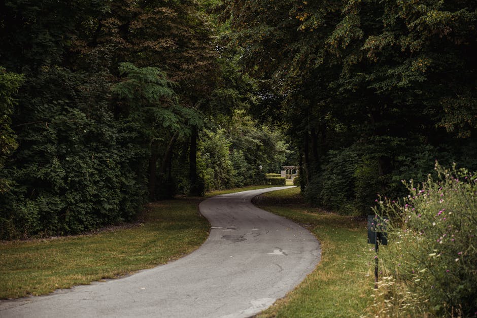 A narrow, winding residential street in a wooded area with dense trees and shrubbery on both sides. The asphalt road curves gently to the right, with a grassy verge lining its edges. The trees create a canopy overhead, casting shadows on the pavement. At the far end of the street, a white building is partially visible through the foliage. The scene appears quiet and secluded, suitable for a home relocation or furniture transport process, as referenced in the context of house removals, with no vehicles or moving equipment visible in the image. Man and Van Forest Gate, a removals service company, might use such a route for transporting furniture during a house move, ensuring a smooth logistics process.