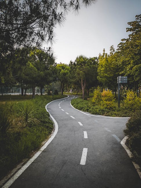 The image shows a winding asphalt pathway within a park, bordered by lush greenery including bushes and tall trees with dense foliage. The pathway features clearly marked white dashed lines and curves gently to the left, disappearing into the distance among the trees. On the right side, there are multiple signs mounted on metal posts, providing information or directions, though their details are not visible. The scene is illuminated by natural daylight, creating a calm atmosphere suitable for outdoor activities. This setting relates to the context of house removals and moving logistics, akin to the process of planning and navigating a route for furniture transport or home relocation, as referenced on the page about E7 removals in Woodgrange Park. The surrounding environment suggests a peaceful outdoor area, with an emphasis on clear pathways, natural elements, and logistical planning involved in house moving, aligning with the services of Man and Van Forest Gate.