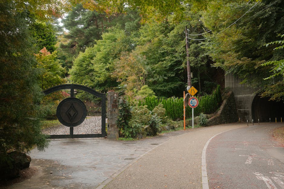 A gated driveway entrance to a residential property surrounded by lush green trees and shrubs, with a metal gate featuring a diamond-shaped emblem in the center situated on a paved pathway. To the right of the gate, there are traffic and warning signs indicating a sharp bend and a 40 km/h speed limit, mounted on a pole alongside a utility pole with overhead power lines. Beyond the gate, a narrow, winding road extends into a tunnel cut through a hillside covered with dense foliage, which is used for residential access or home relocation purposes. The scene is well-lit with natural daylight, highlighting the greenery and the details of the gate and signage, relevant to house removals, furniture transport, and moving logistics handled by Man and Van Forest Gate.